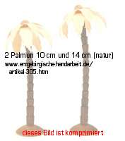 Bild vom Artikel 2 Palmen 10 cm und 14 cm (natur)